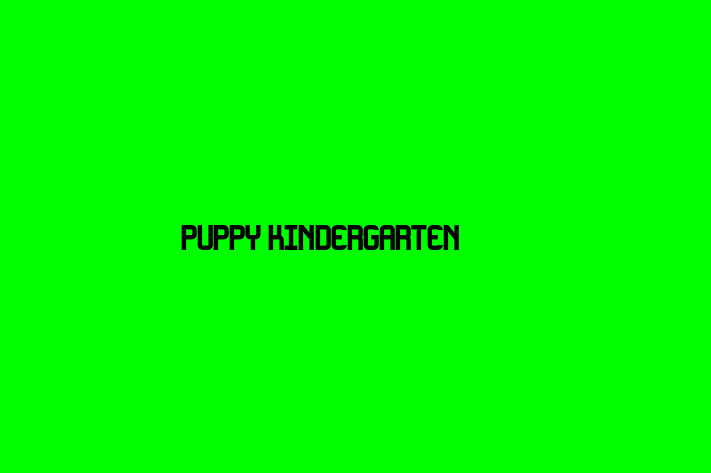 People Management Puppy Kindergarten