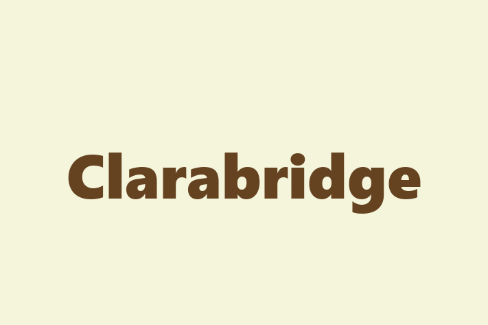 Software Consultancy Clarabridge