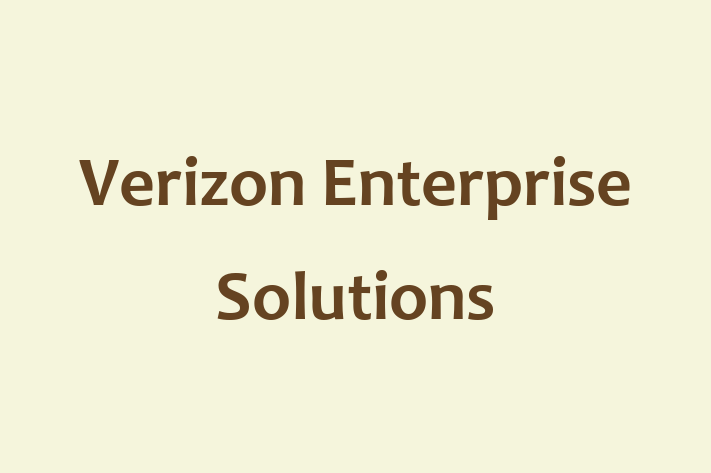 Software Solutions Provider Verizon Enterprise Solutions