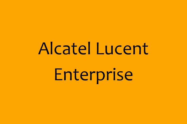 Software Development Company Alcatel Lucent Enterprise