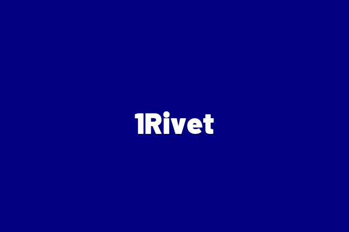 Application Development Company 1Rivet