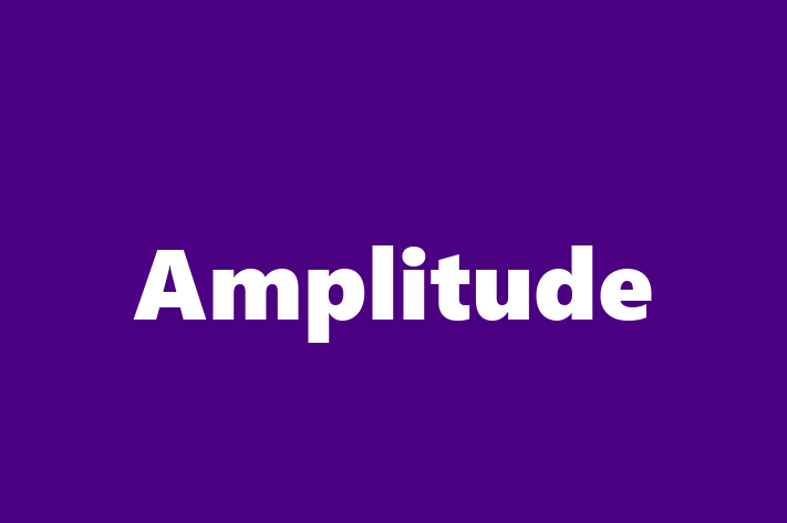 Tech Solutions Company Amplitude