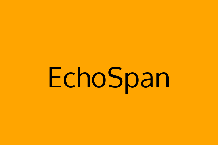 Technology Solutions Firm EchoSpan