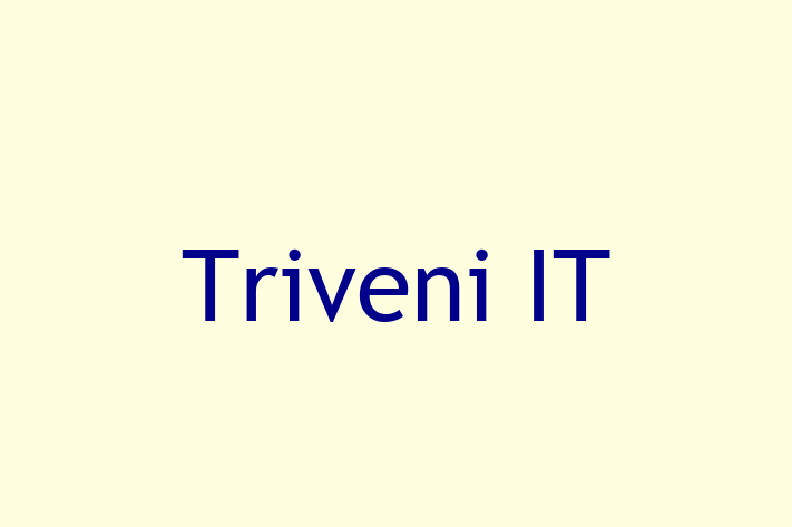 Tech Firm Triveni IT