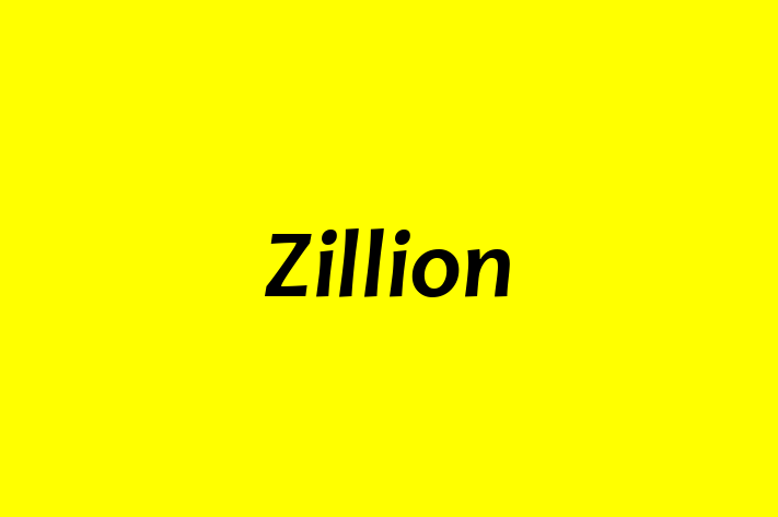 Tech Firm Zillion