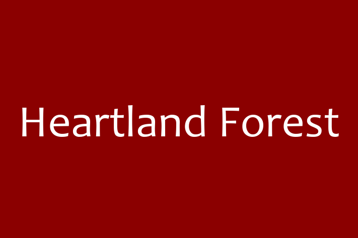 Software Development Company Heartland Forest