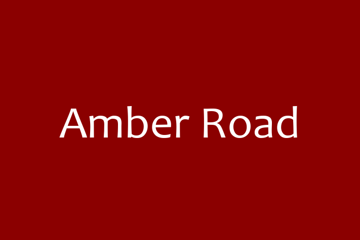 Software Development Firm Amber Road