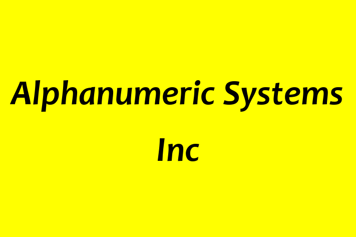 Digital Solutions Provider Alphanumeric Systems Inc