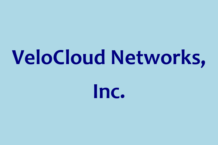 Tech Solutions Company VeloCloud Networks Inc.