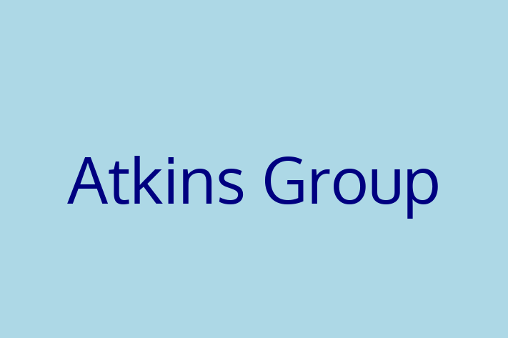 Application Development Company Atkins Group