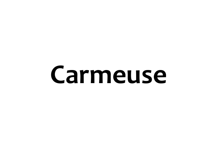 Employee Resource Management Carmeuse