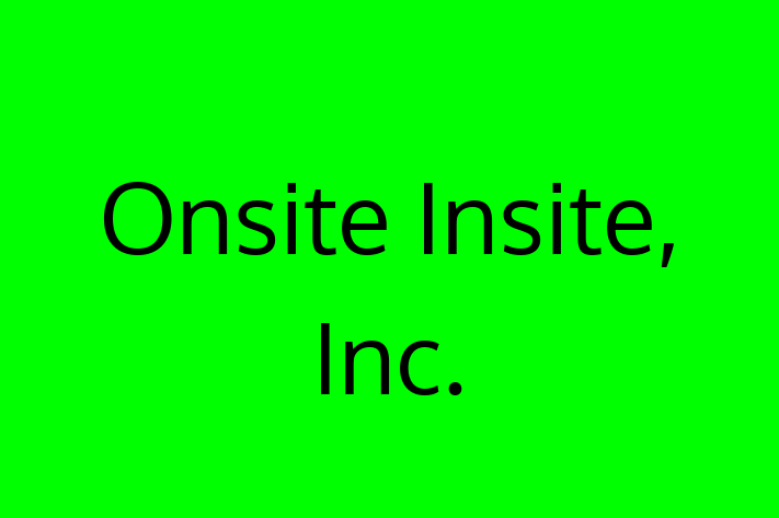 Tech Solutions Company Onsite Insite Inc.