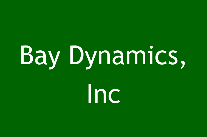 Software Services Company Bay Dynamics Inc