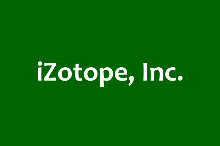 Tech Solutions Company iZotope Inc.