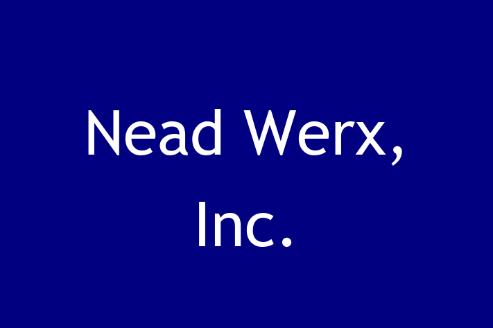 Application Development Company Nead Werx Inc.