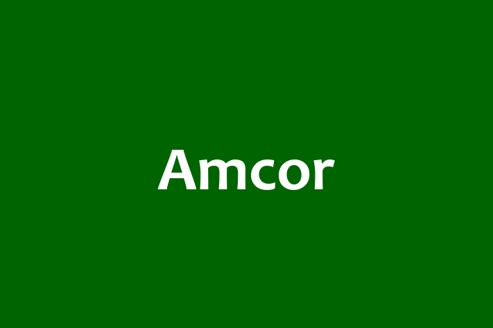 Talent Management Amcor