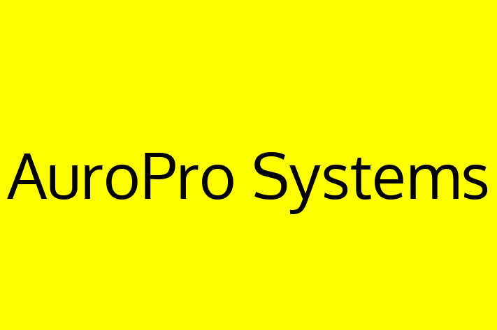 Application Development Company AuroPro Systems