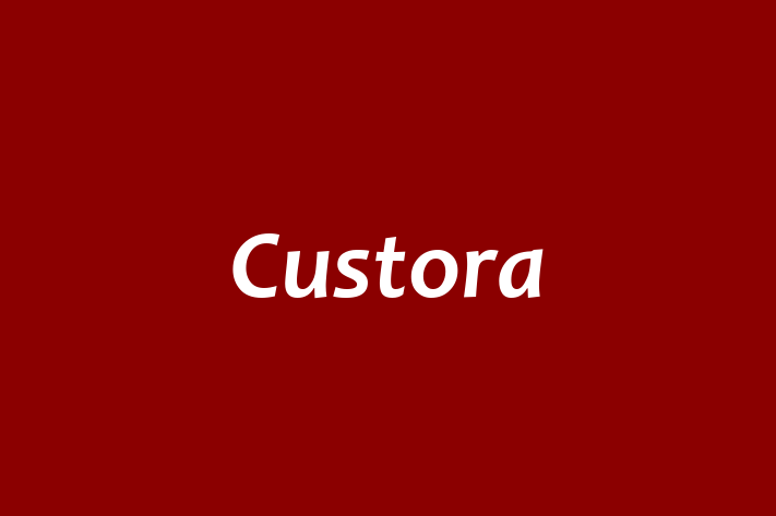 Software Engineering Company Custora