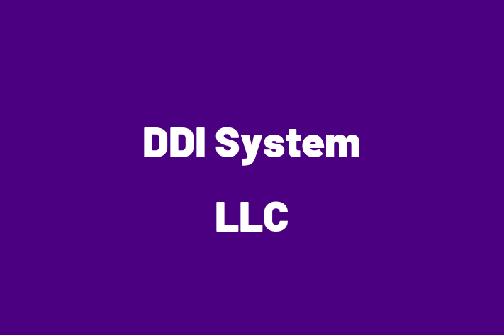 Digital Solutions Provider DDI System LLC