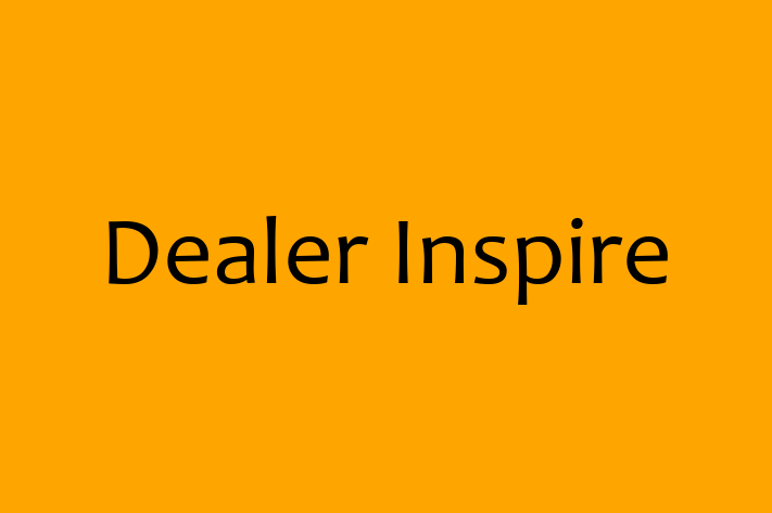 Software Engineering Company Dealer Inspire