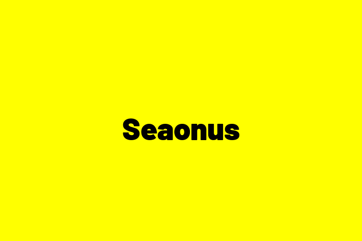 Tech Firm Seaonus