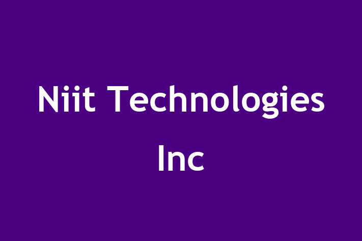 Software Solutions Provider Niit Technologies Inc