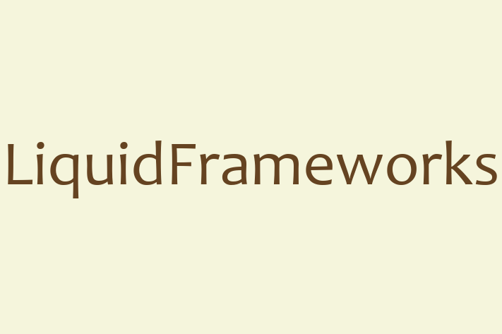 Software Engineering Company LiquidFrameworks