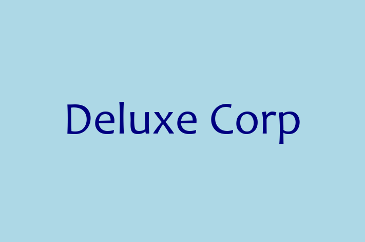 Software Solutions Provider Deluxe Corp