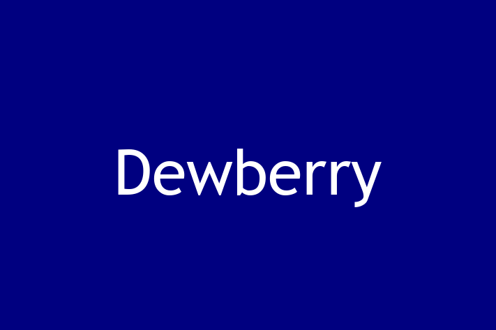 Software Development Firm Dewberry