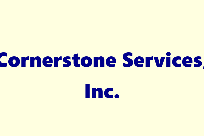 Tech Solutions Company Cornerstone Services Inc.