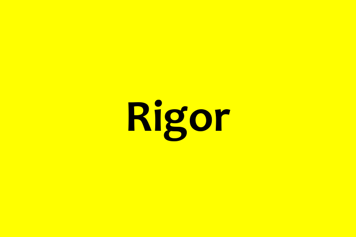 Digital Solutions Provider Rigor