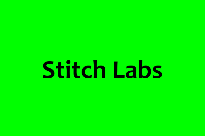 IT Company Stitch Labs