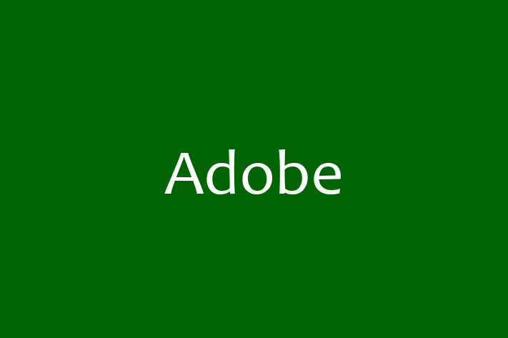 Digital Solutions Provider Adobe