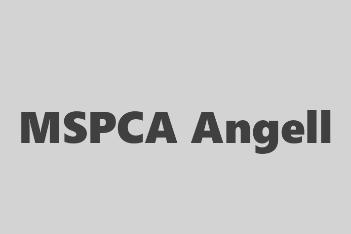 Staff Management MSPCA Angell