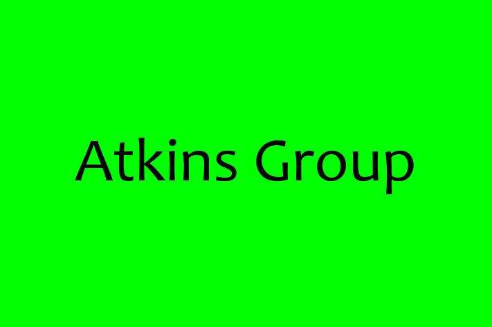 Software Services Company Atkins Group