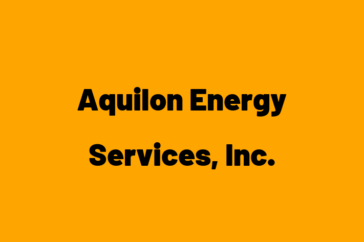 Technology Company Aquilon Energy Services Inc.