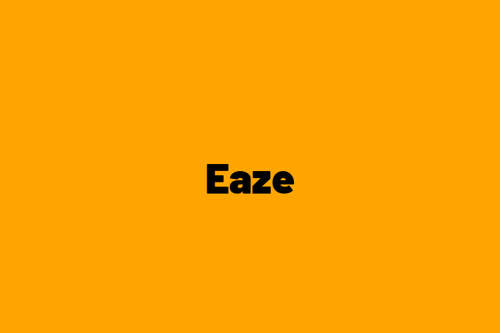 Digital Solutions Provider Eaze