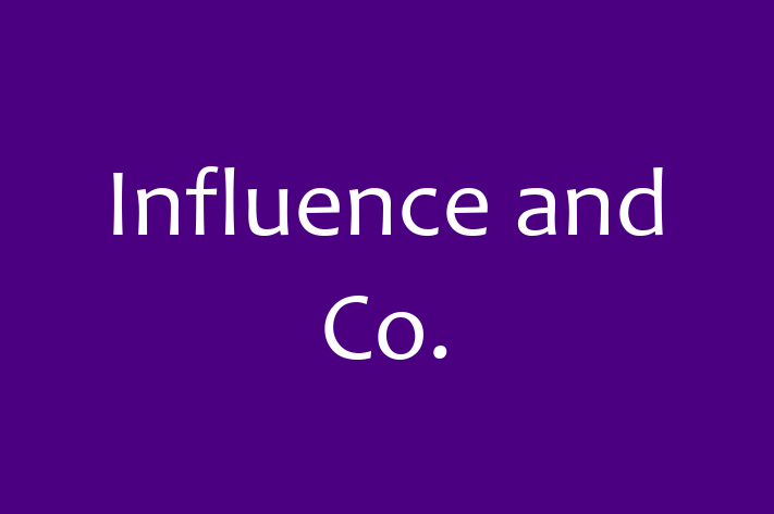 Software Solutions Provider Influence and Co.