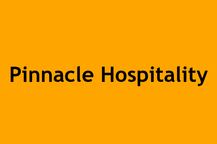 Software Consultancy Pinnacle Hospitality