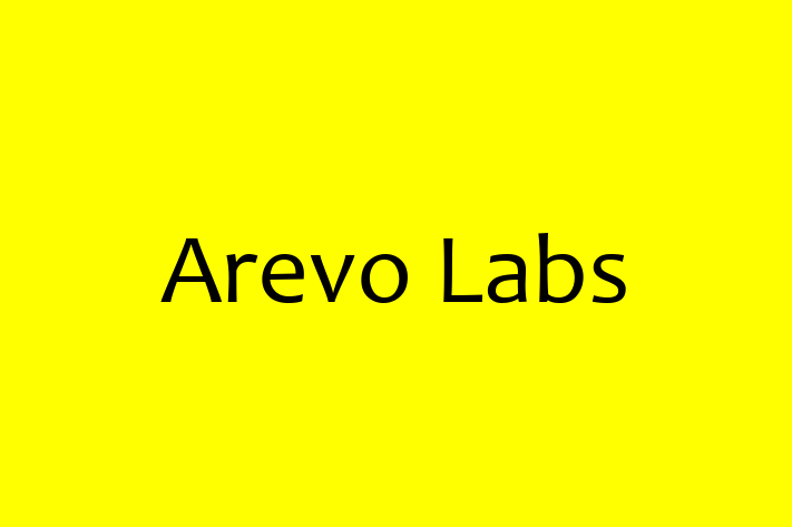 Software Development Firm Arevo Labs