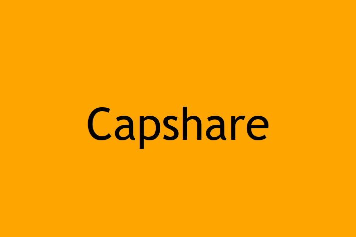 Tech Solutions Company Capshare