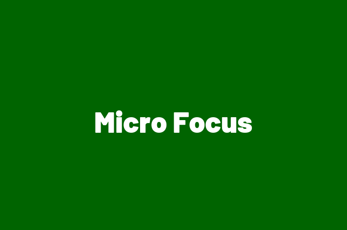 Digital Solutions Provider Micro Focus