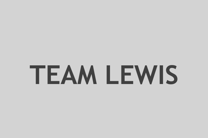 Talent Management TEAM LEWIS