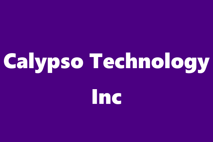 Software Engineering Company Calypso Technology Inc