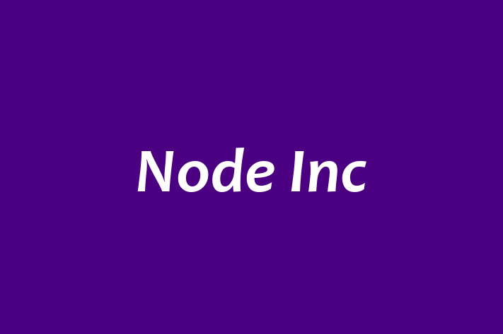 Software Services Company Node Inc