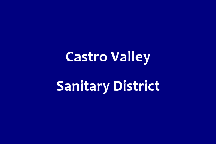 Software Services Company Castro Valley Sanitary District