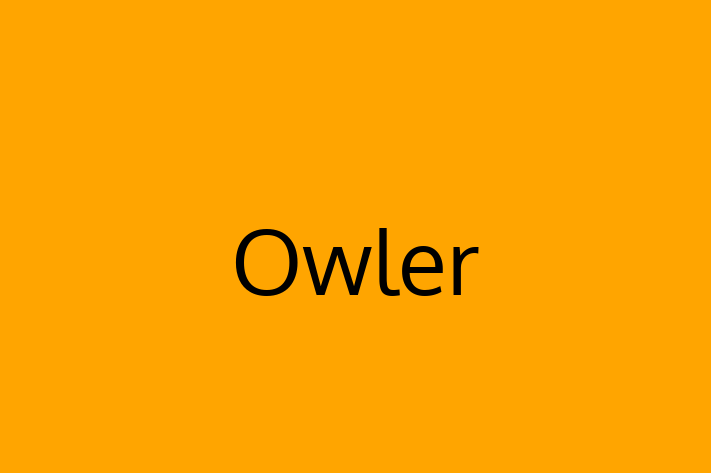 Software Firm Owler