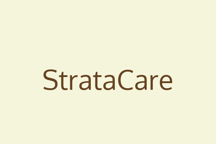 IT Company StrataCare