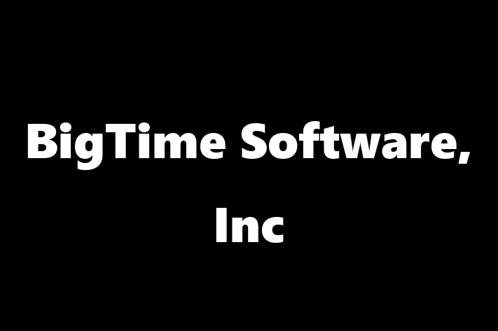 Software Development Company BigTime Software Inc