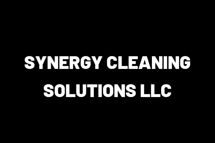 Housekeeping SYNERGY CLEANING SOLUTIONS LLC